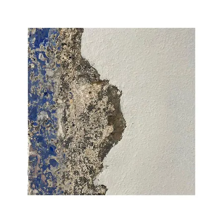 House فندق مبيت وإفطار Fenais da Luz