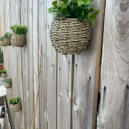 House فندق مبيت وإفطار Fenais da Luz