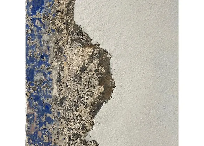 House לינה וארוחת בוקר Fenais da Luz