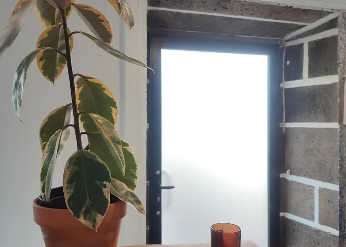 House فندق مبيت وإفطار